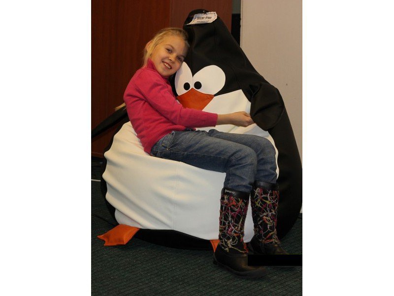 Детское кресло-мешок "Пингвин" в интерьере в Черновке - chernovka.mebel-nsk.ru - фото