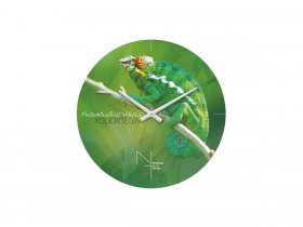 Часы настенные Nicole Time NT503 в Черновке - chernovka.mebel-nsk.ru | фото