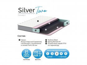 Матрас Silver Two в Черновке - chernovka.mebel-nsk.ru | фото